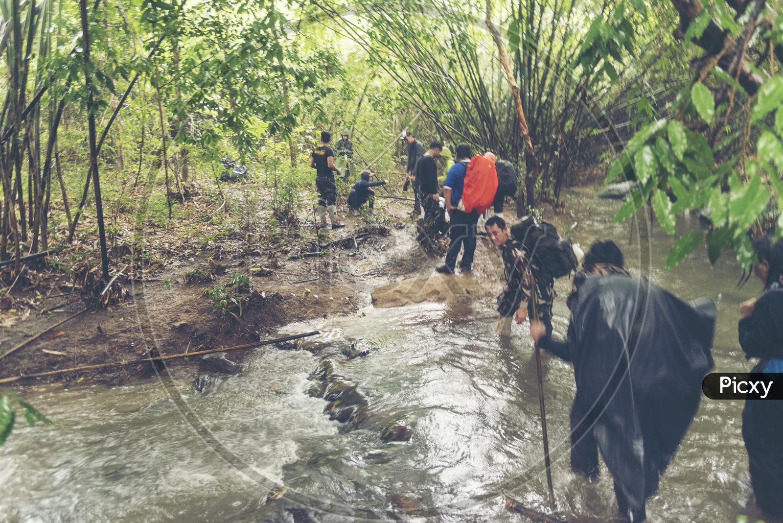 Eco - tourists Trekking In Khao yai National Park