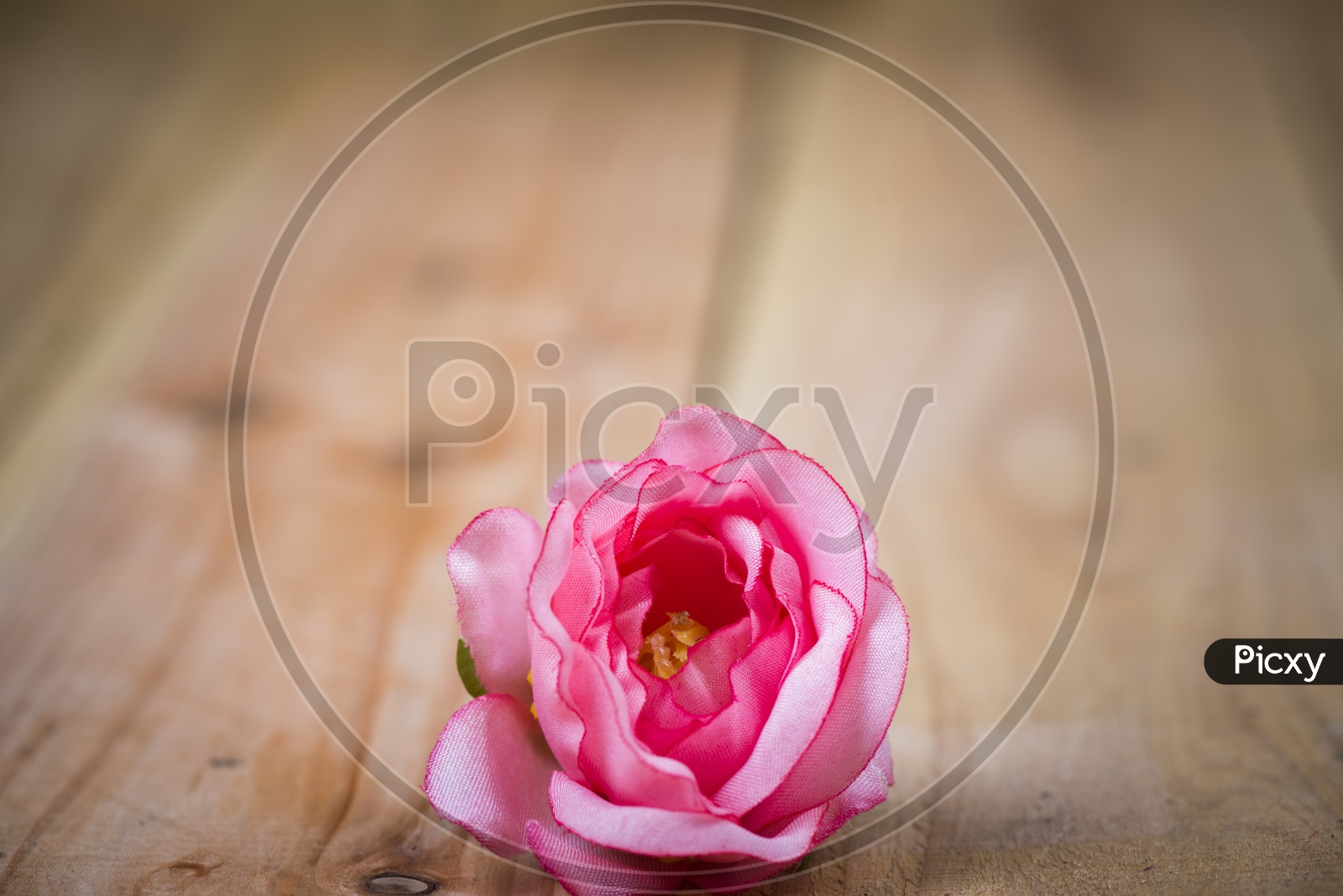 Abstract Background For Valentine's Day With Flower On Wood