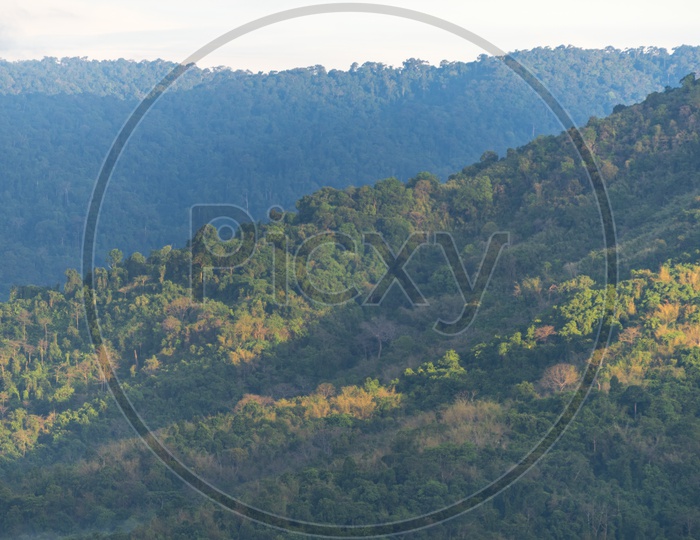 View Of Tropical Forest And Valleys With Dense Trees In Khao Yai National Park