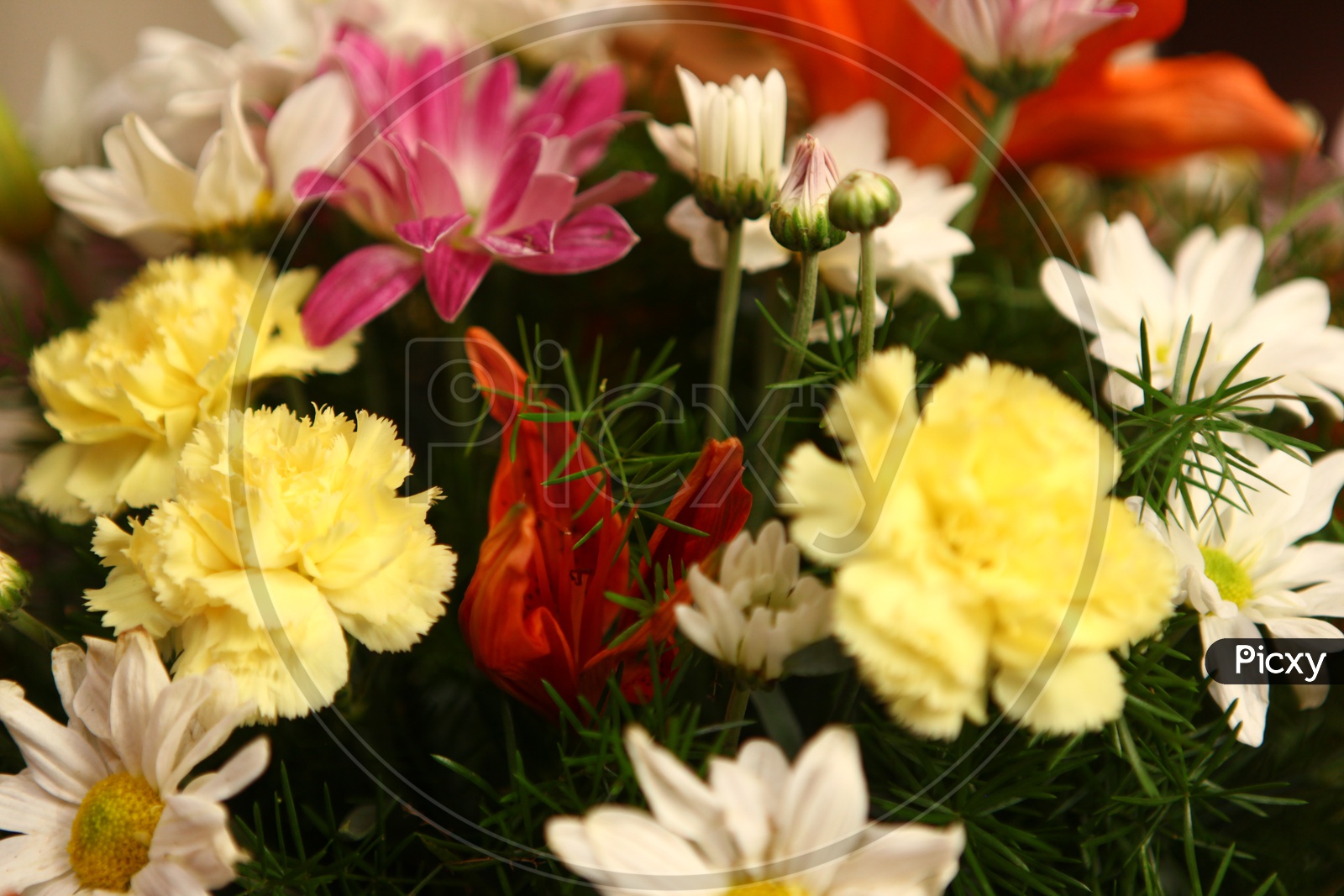 Close up shot of a Flower bouquet