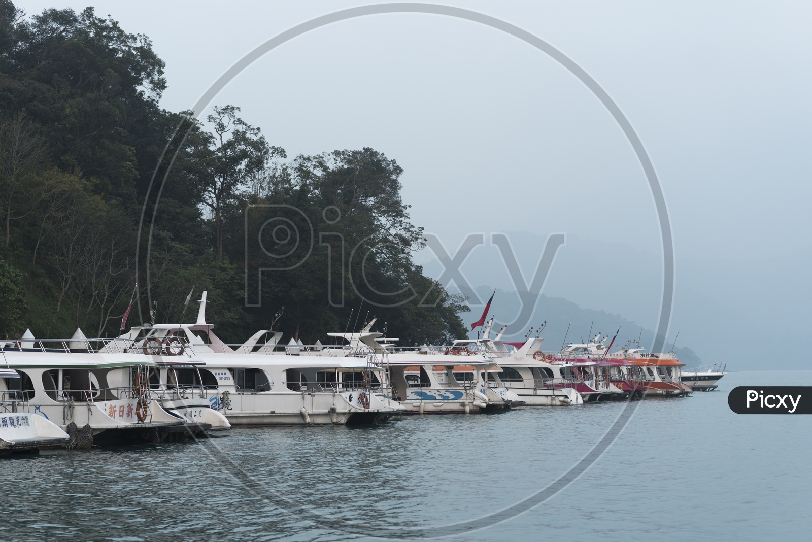 Tourist Boats Anchored in Sea Pier at Taipei
