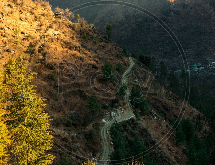 Sunset over Valleys With  deodar tree in himalayas