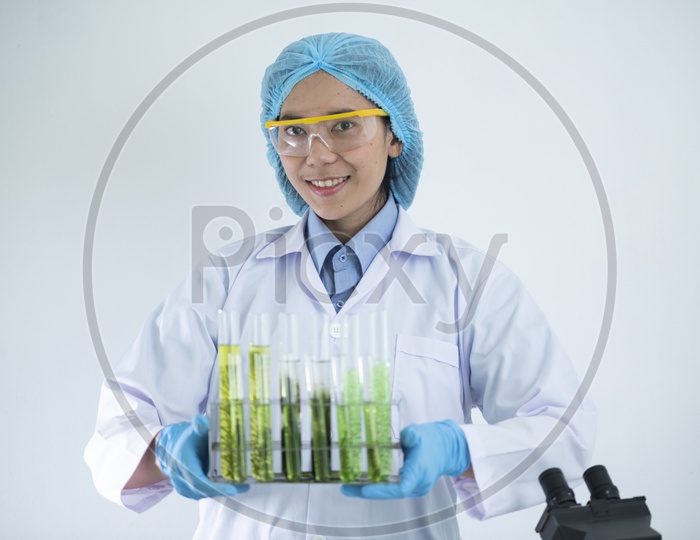 A Scientist holding the test tube tray containing Algae