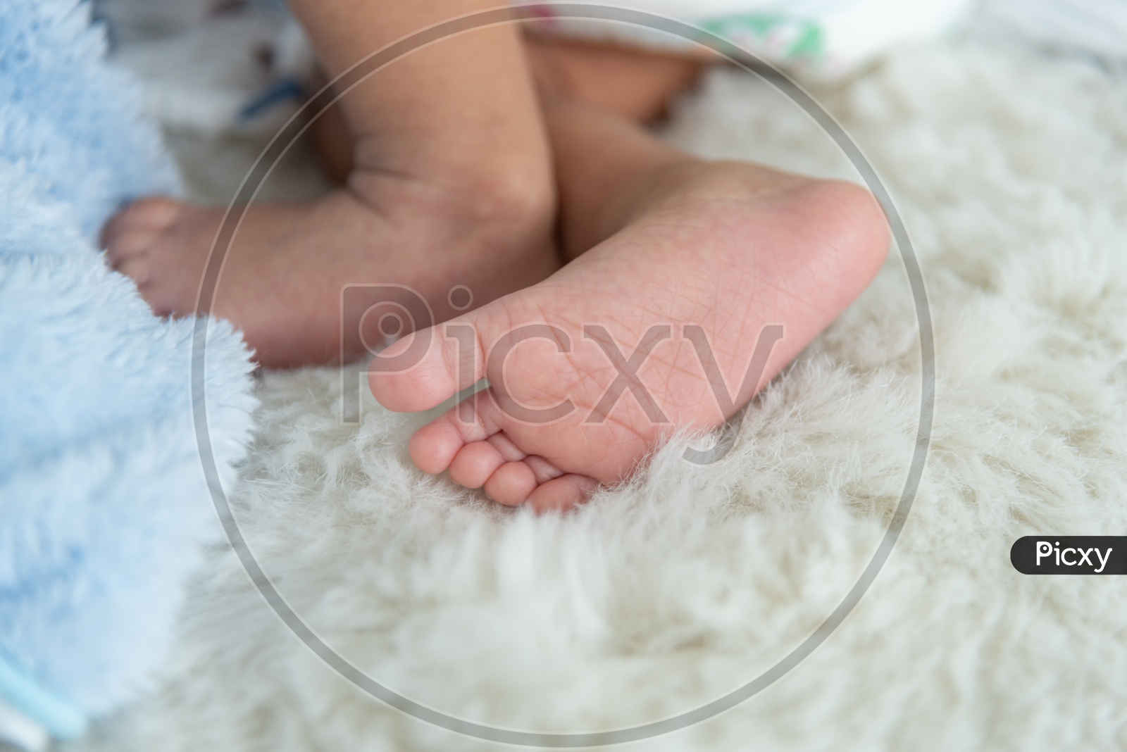 Asian Baby boy's feet