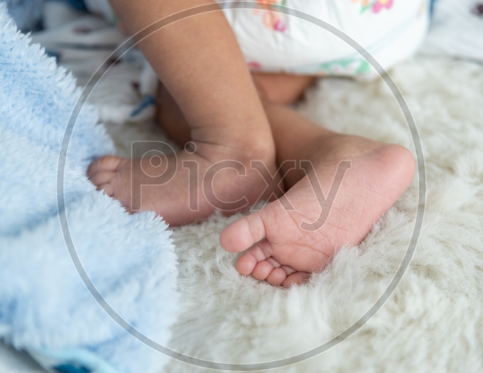 Infant baby boy's feet