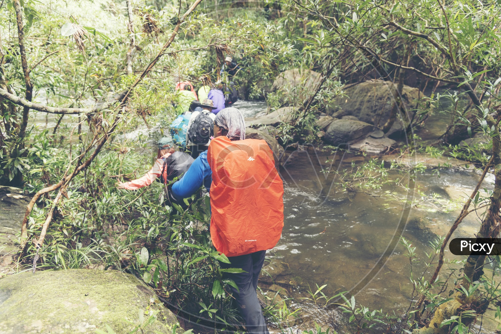 Trekkers With Backpacks In Khao Yai National Park