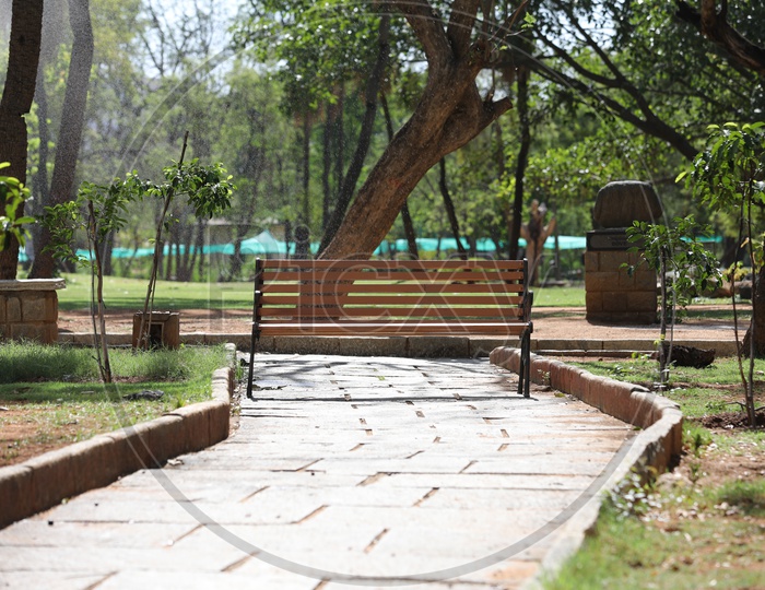A bench along the pathway