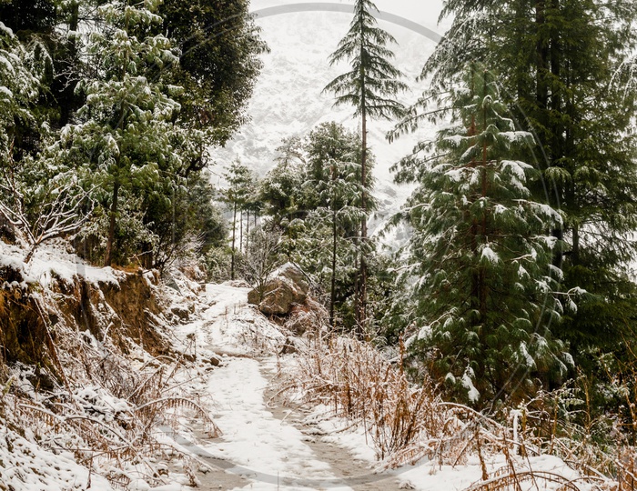 Pathways or Roads Covered With Snow in Villages on Himalayan Mountains
