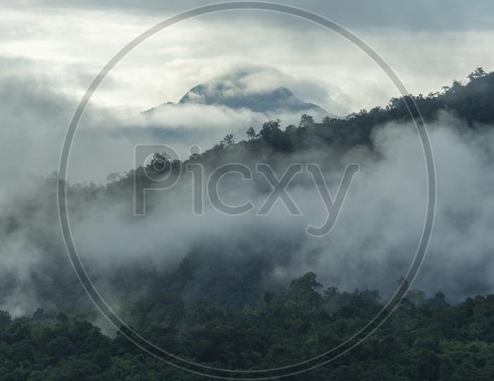 Landscape of part of tropical forest in Asia