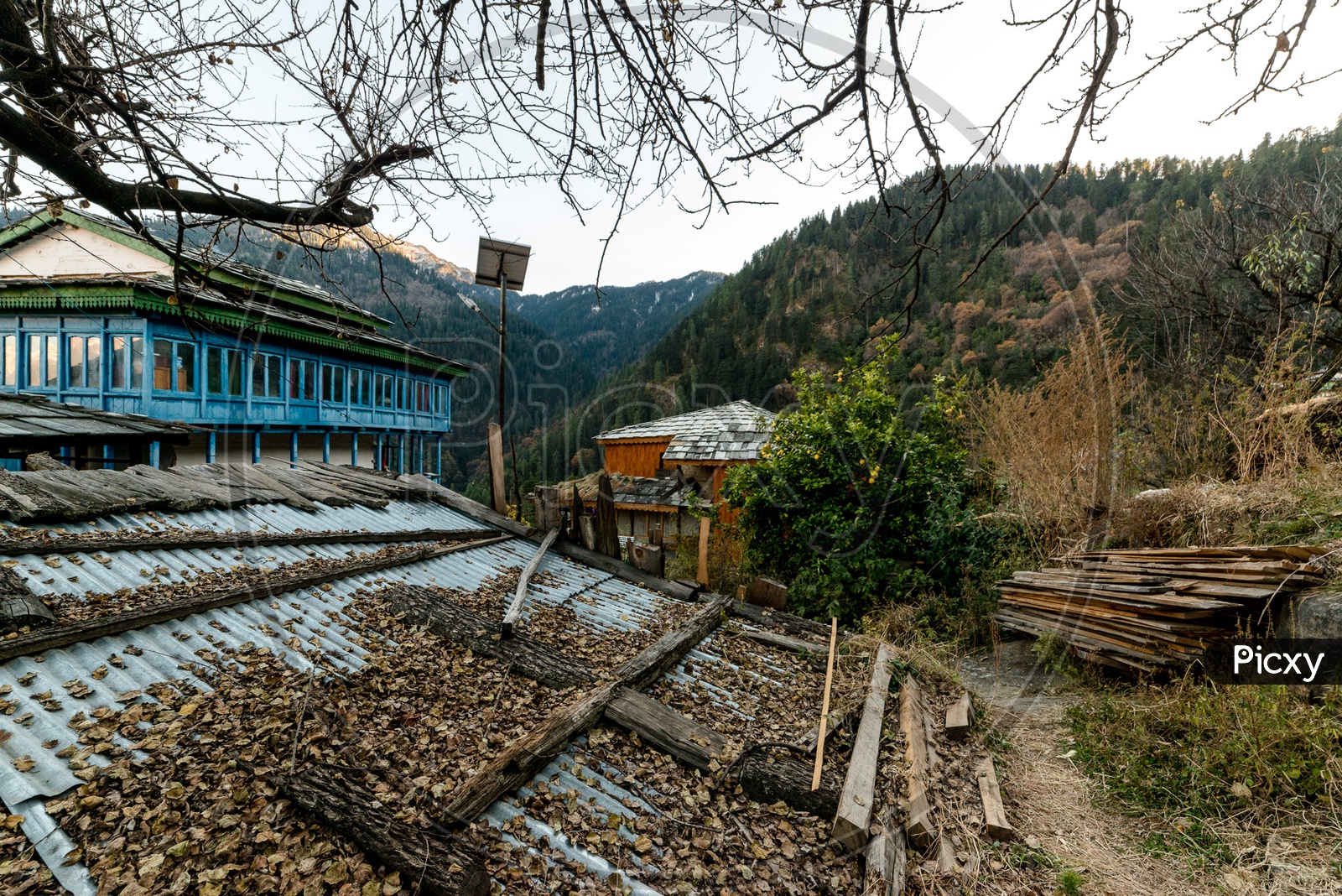 Wooden alpine houses in Himachal Pradesh during Autumn