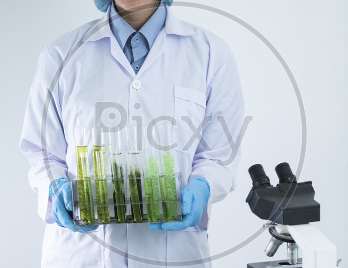 Scientists holding the algae containing test tubes