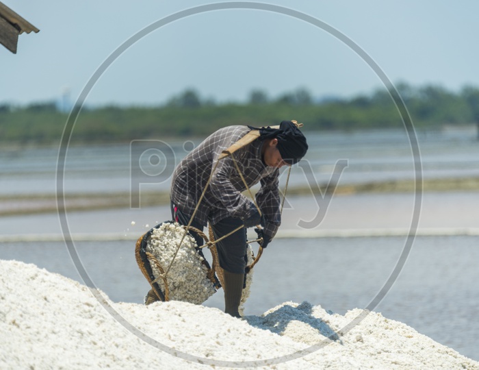 Salt Harvesting Fields in Thailand