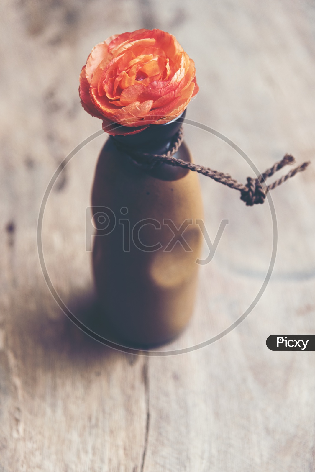 Rose Flower In a Vase  Love Concept