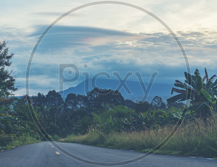 Roads  In Counttry Side At Khao Yai National Park, Thailand