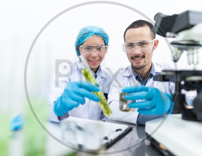 Asian Scientists Researching on Biofuel with Microscope in Foreground at Laboratory