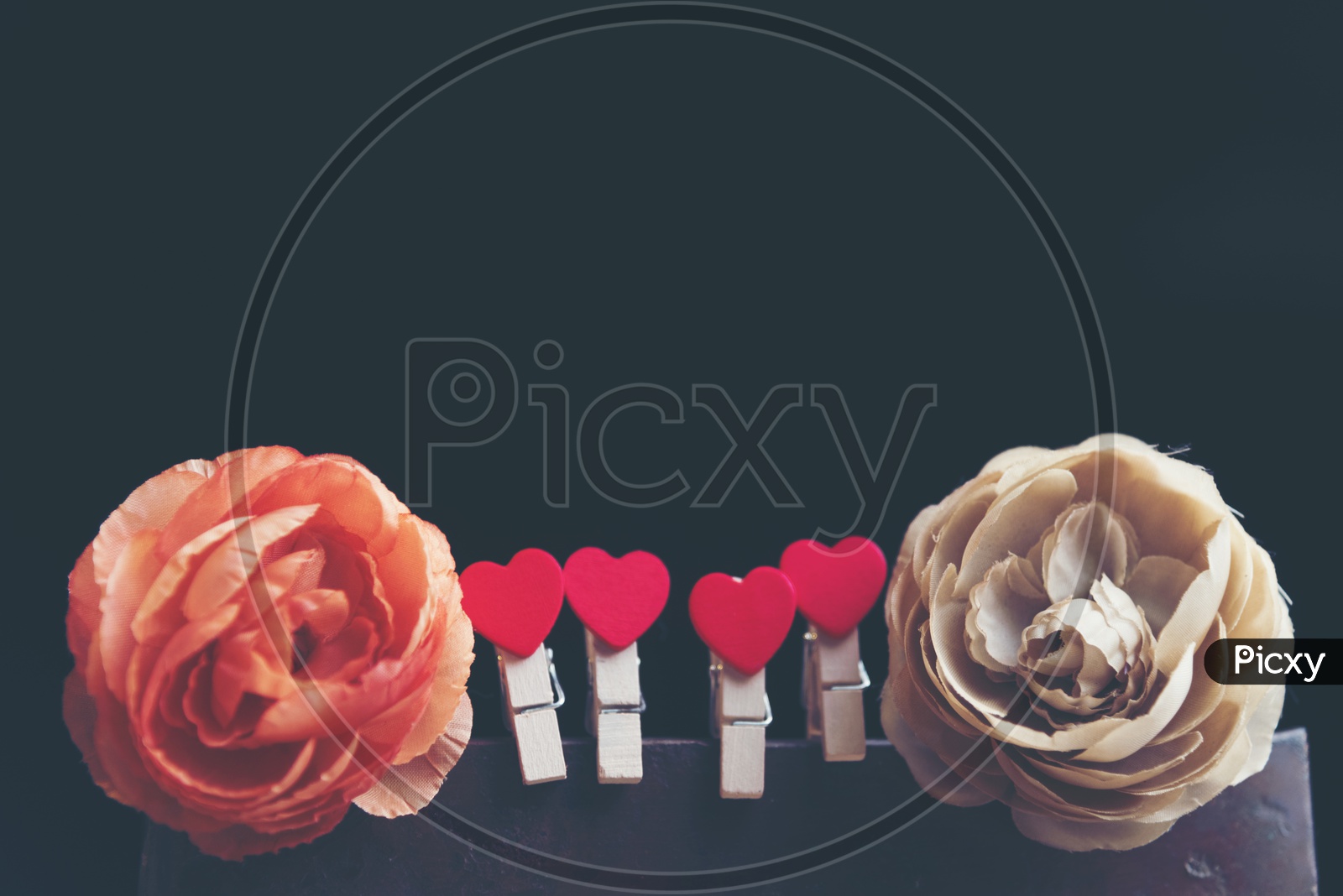 Rose Flowers And Red Hearts For Valentines Day Love  Concept  On an Isolated Black Background With Vintage Filter
