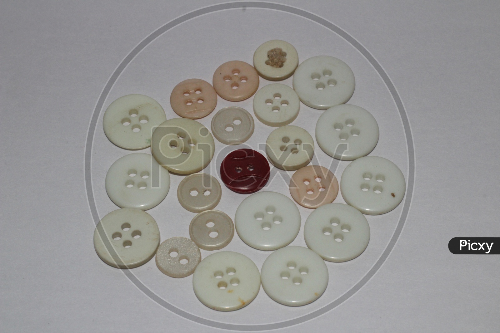 Garment Plastic Buttons  on an Isolated White Background