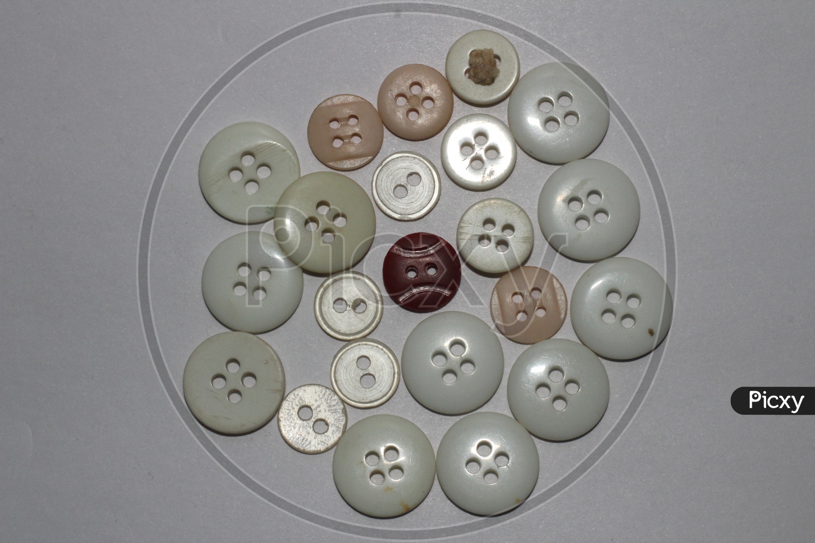 Garment Plastic Buttons  on an Isolated White Background