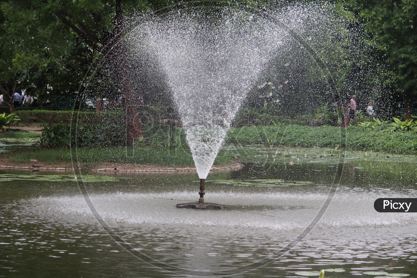 Water Fountain With Water Sprinkler in a Park