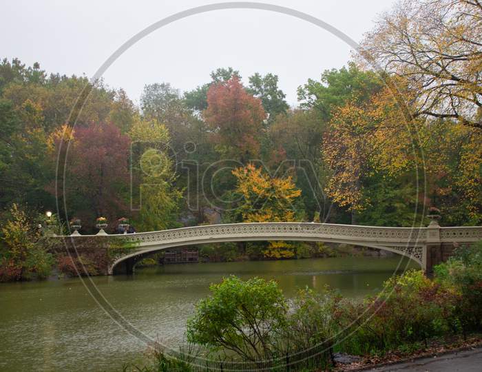Central Park - Bridge