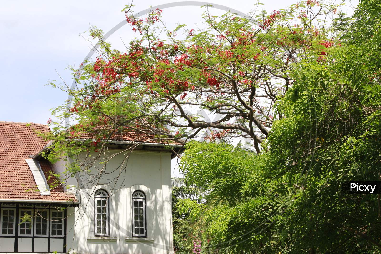 Side view of a Kerela Cottage
