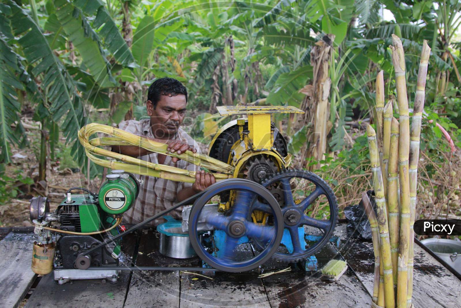 Indian Man making Sugarcane Juice