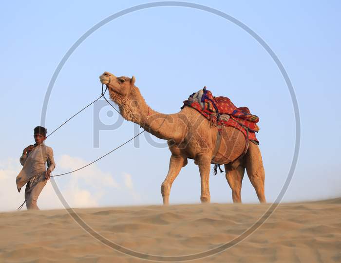 A Camel rider in the desert