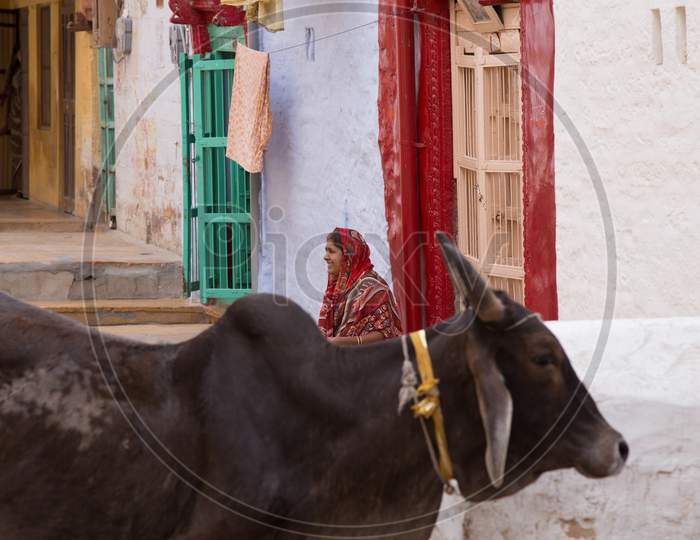 A Rajasthani Woman Sitting At a House Door Steps  in Jaisalmer