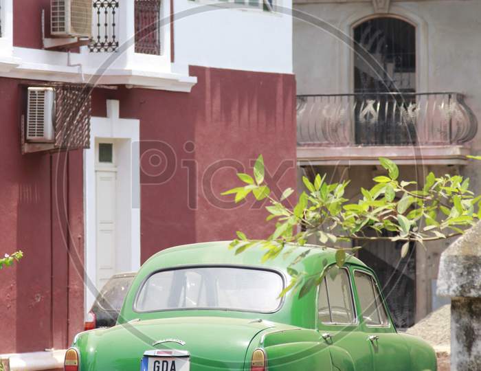 Green color ambassador in the streets of Goa