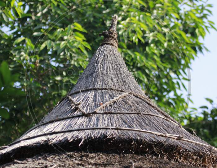 Top Roof of the Thatched House