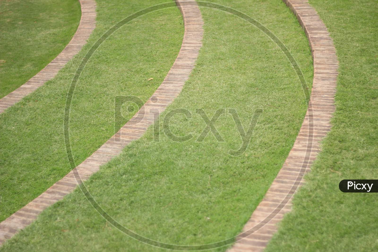 A Circular steps in the lawn