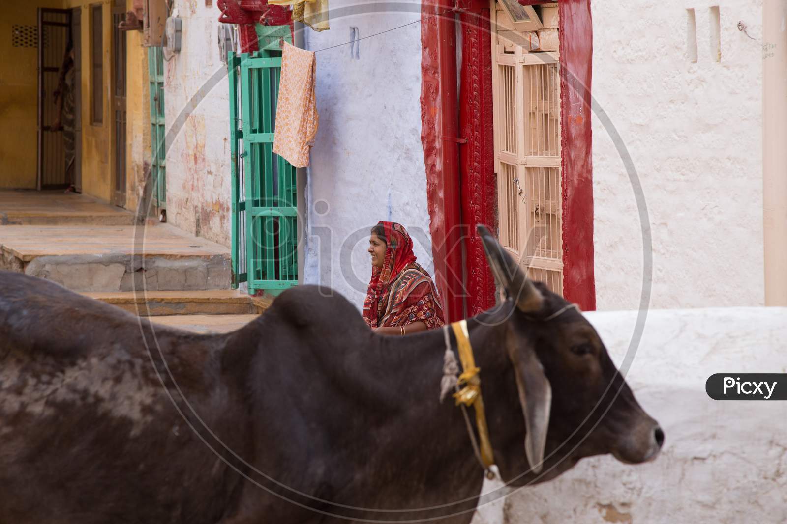 A Rajasthani Woman Sitting At a House Door Steps  in Jaisalmer