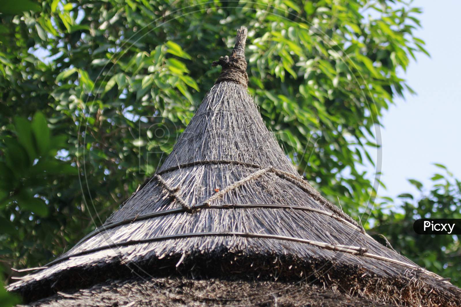 Top Roof of the Thatched House