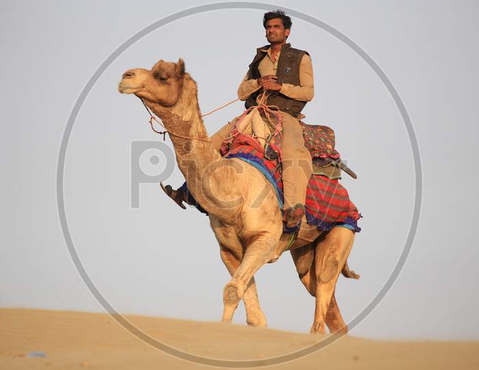 A Camel ride in the desert