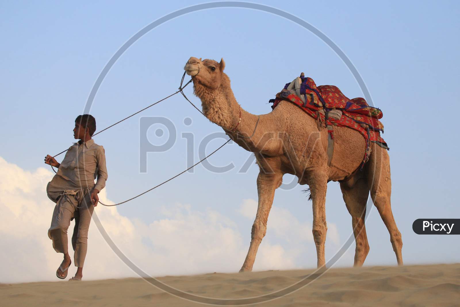 Indian Camel rider with his camel
