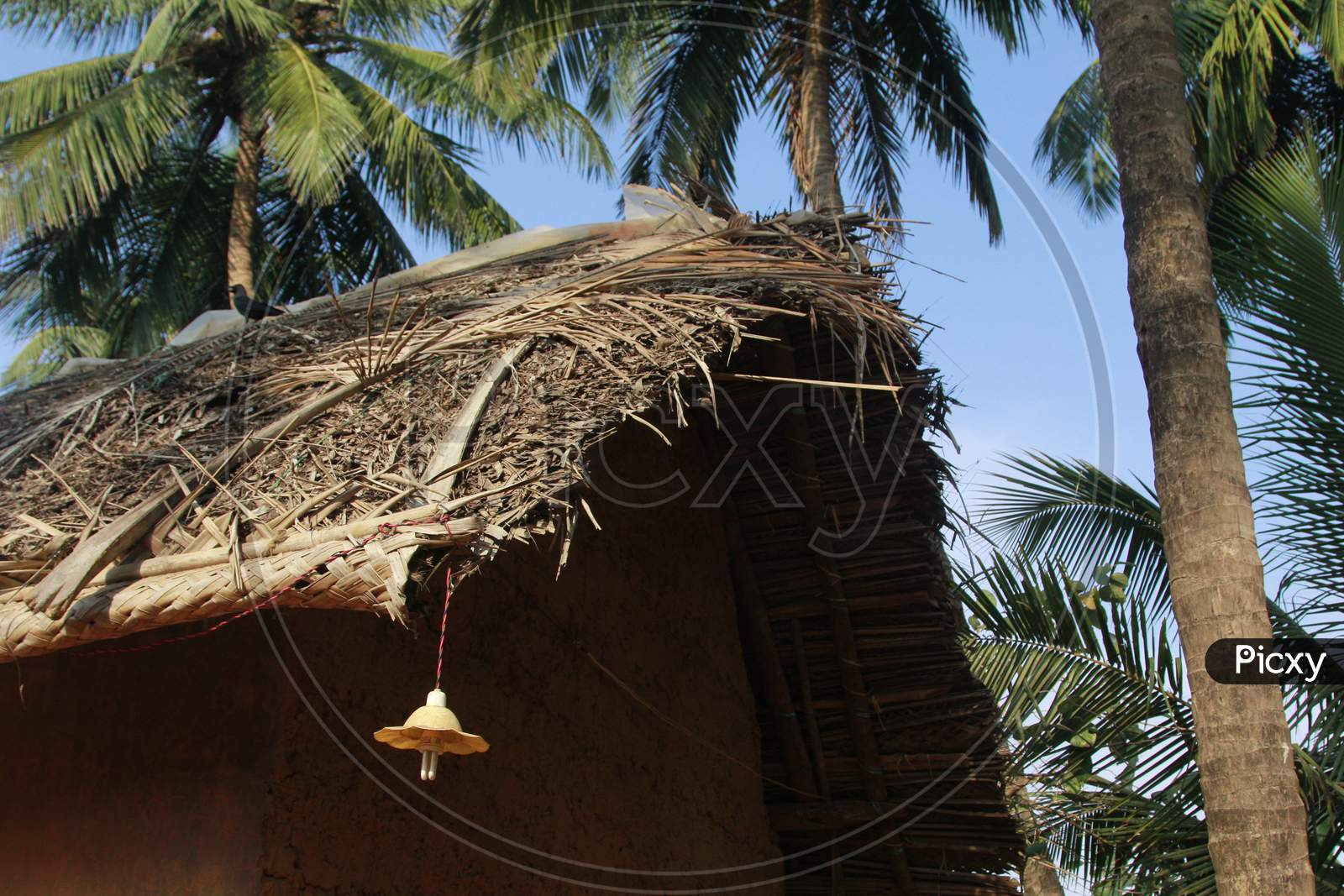 Thatched roof of the house in Goa