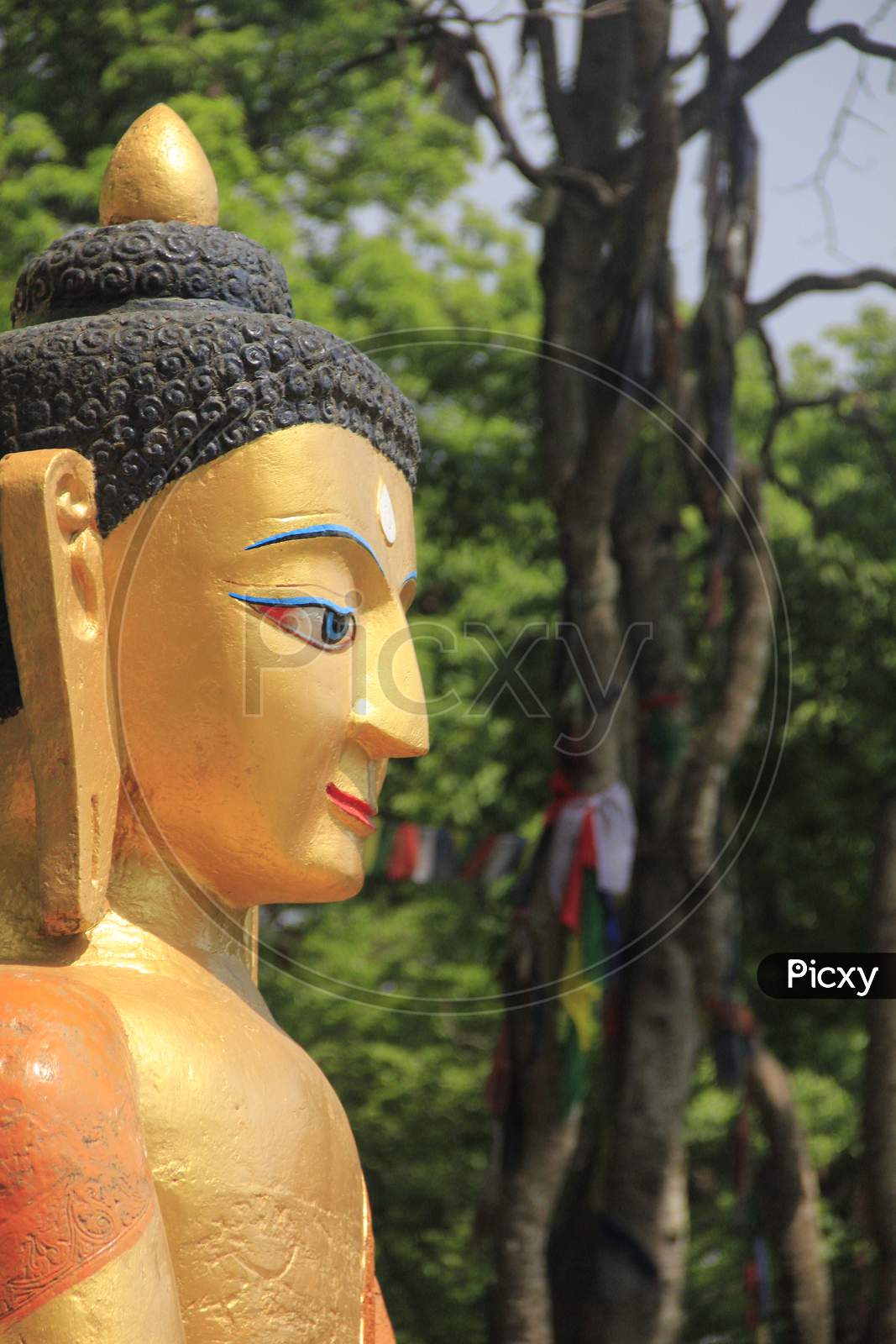 Close up of Buddha Statue