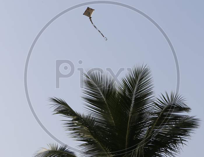 A Kite flying on Sky