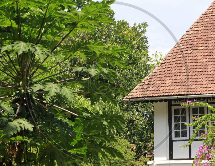 Kerela Cottage Roof