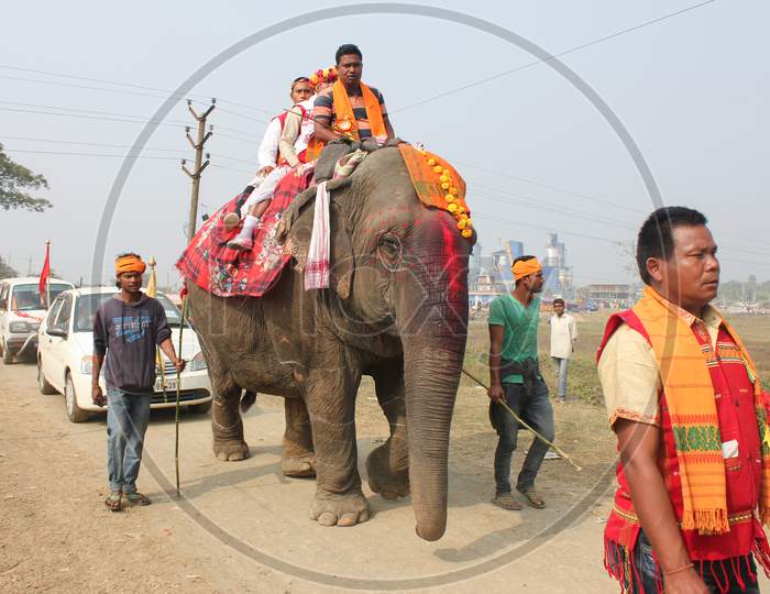 A Man Riding On Elephant As Procession During Bihu Festival Celebrations in Assam