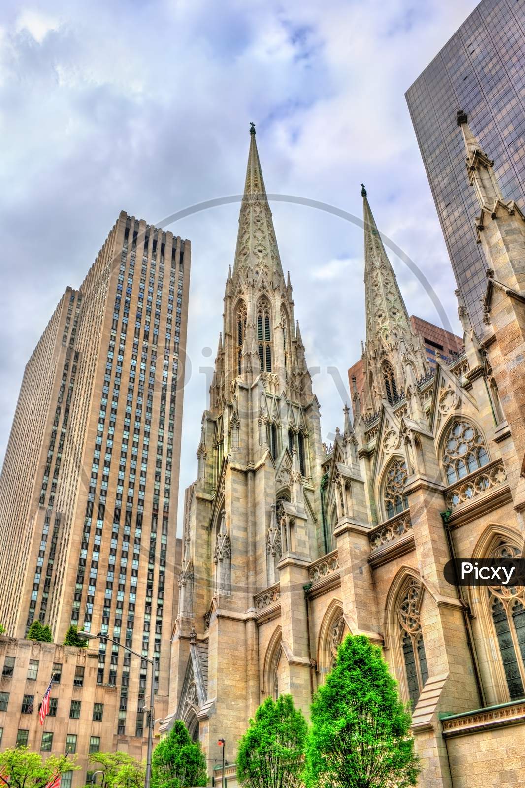 The Cathedral Of St. Patrick In Manhattan, New York City