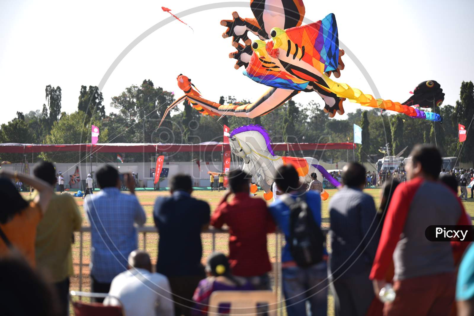 International Kite Festival 2020, Parade Grounds,Hyderabad.