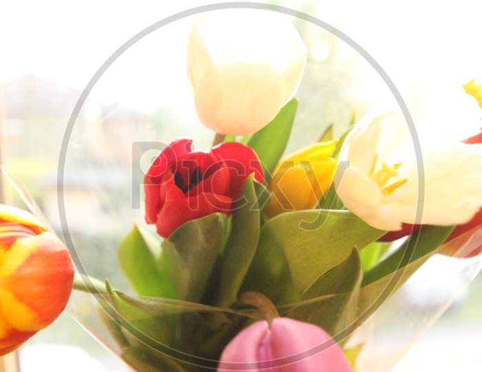 A Tulip flower bouquet
