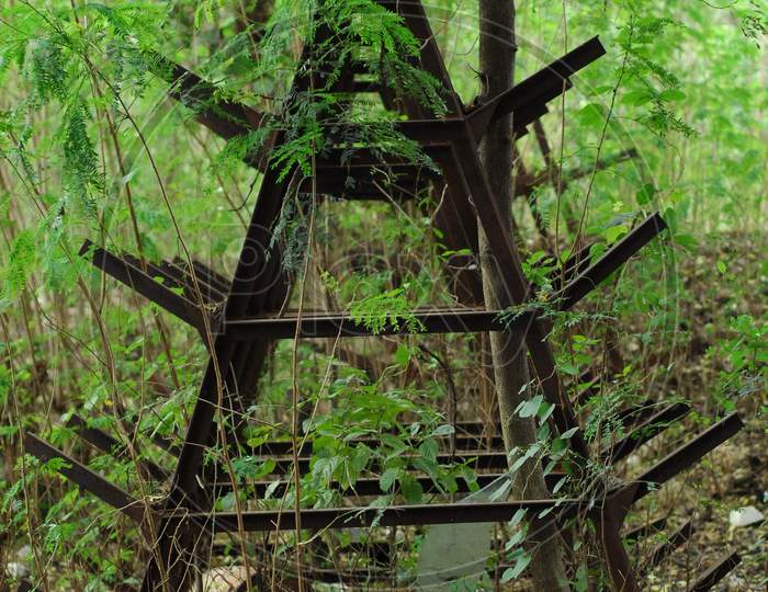 Iron Ladders in the jungle
