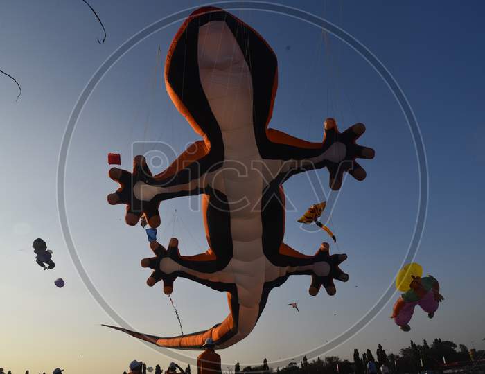 A lizard shaped kite at International Kite Festival 2020, Parade Grounds,Hyderabad.