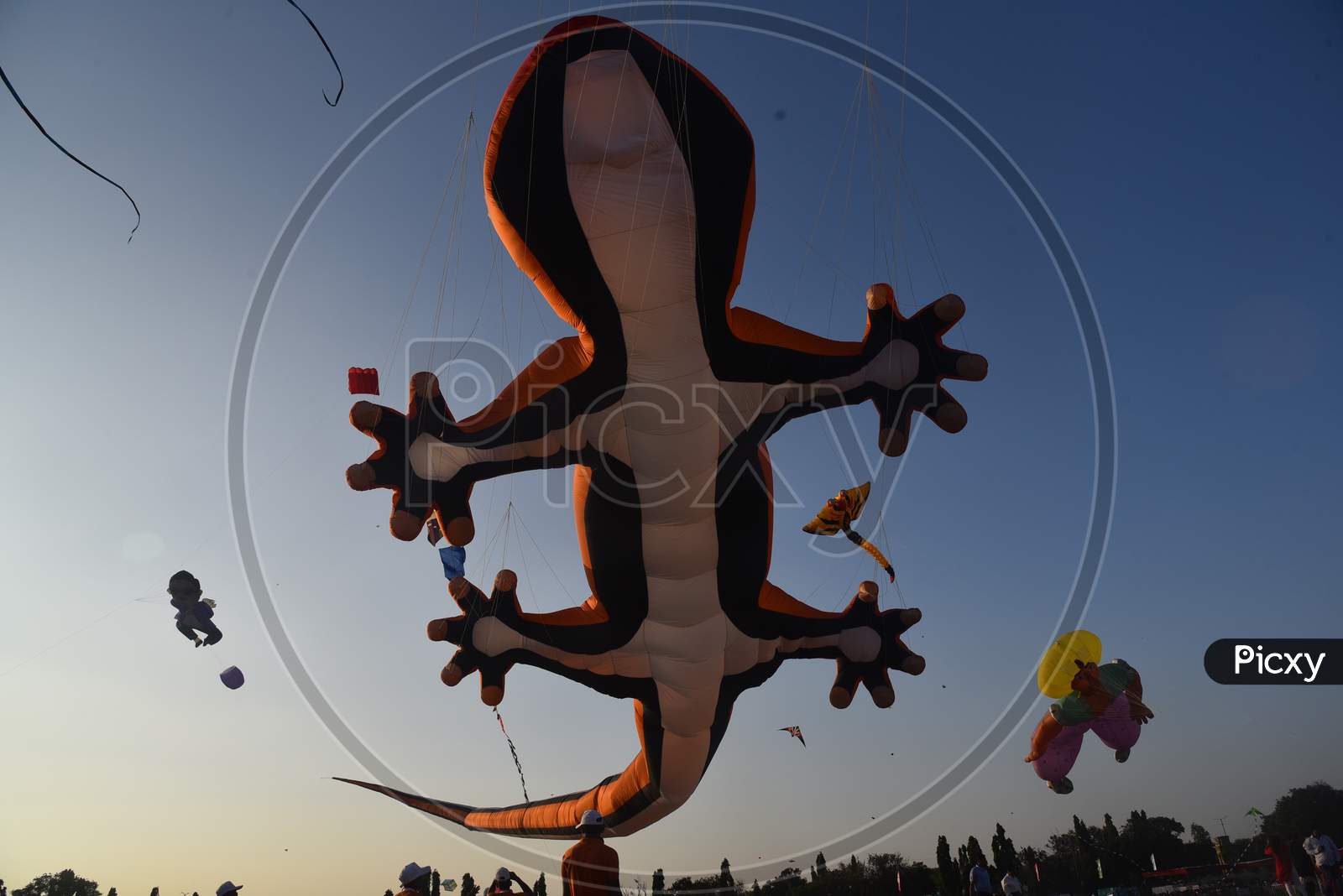A lizard shaped kite at International Kite Festival 2020, Parade Grounds,Hyderabad.
