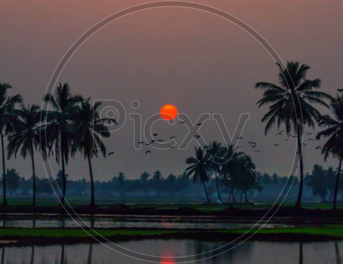Sunsets of godavari