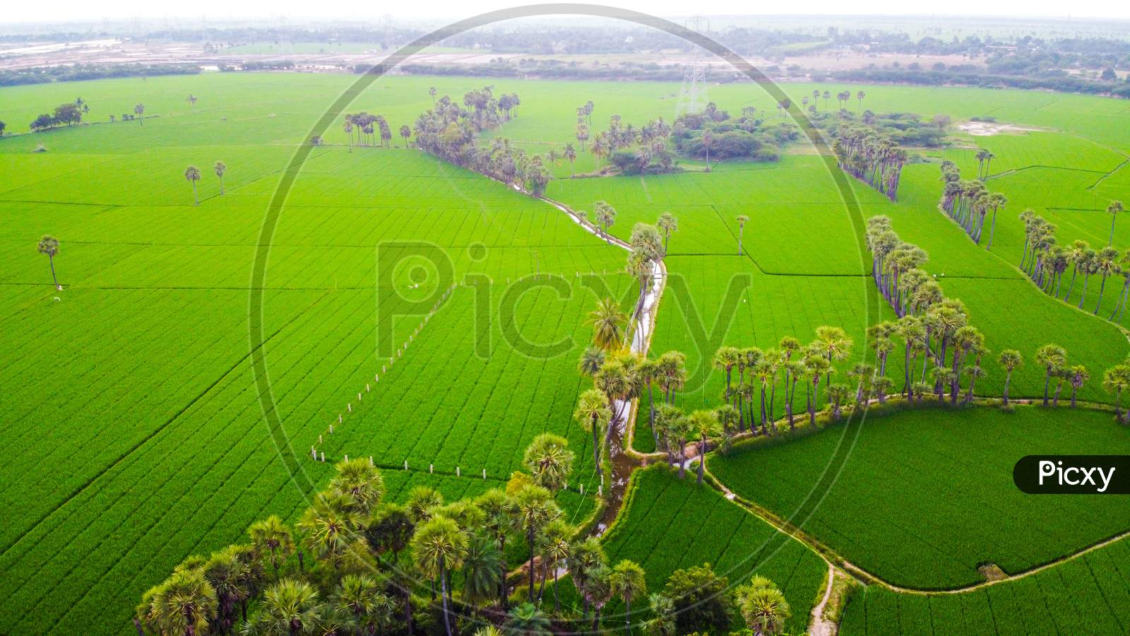 Aerial View of Agriculture Fields in Andhra Pradesh