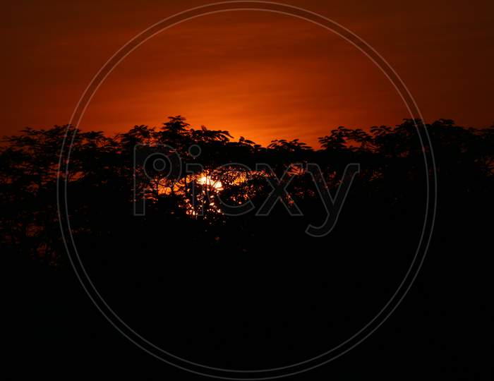 Sunset behind the trees with orange sky light