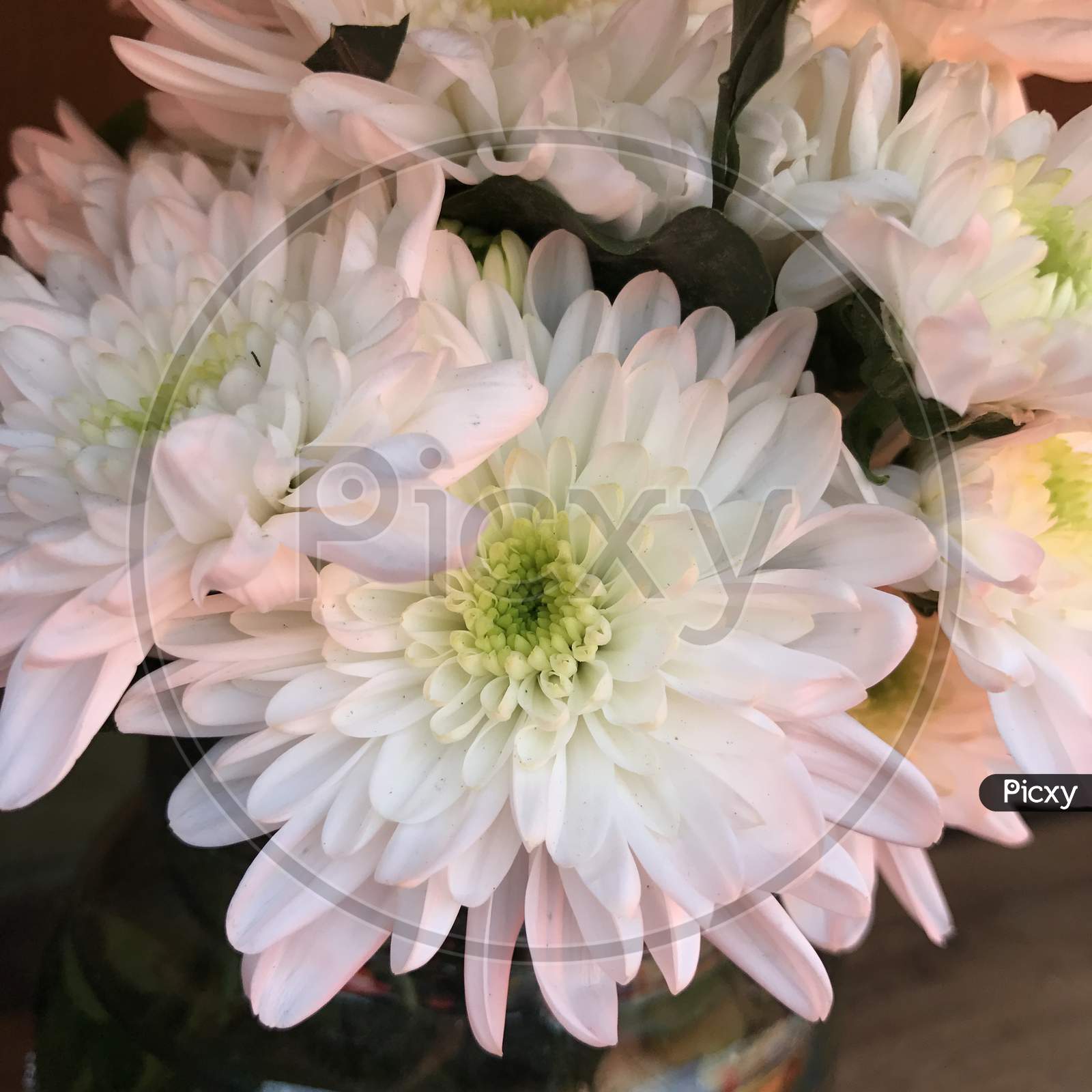 Fresh  Flowers Blooming in a Bouquet